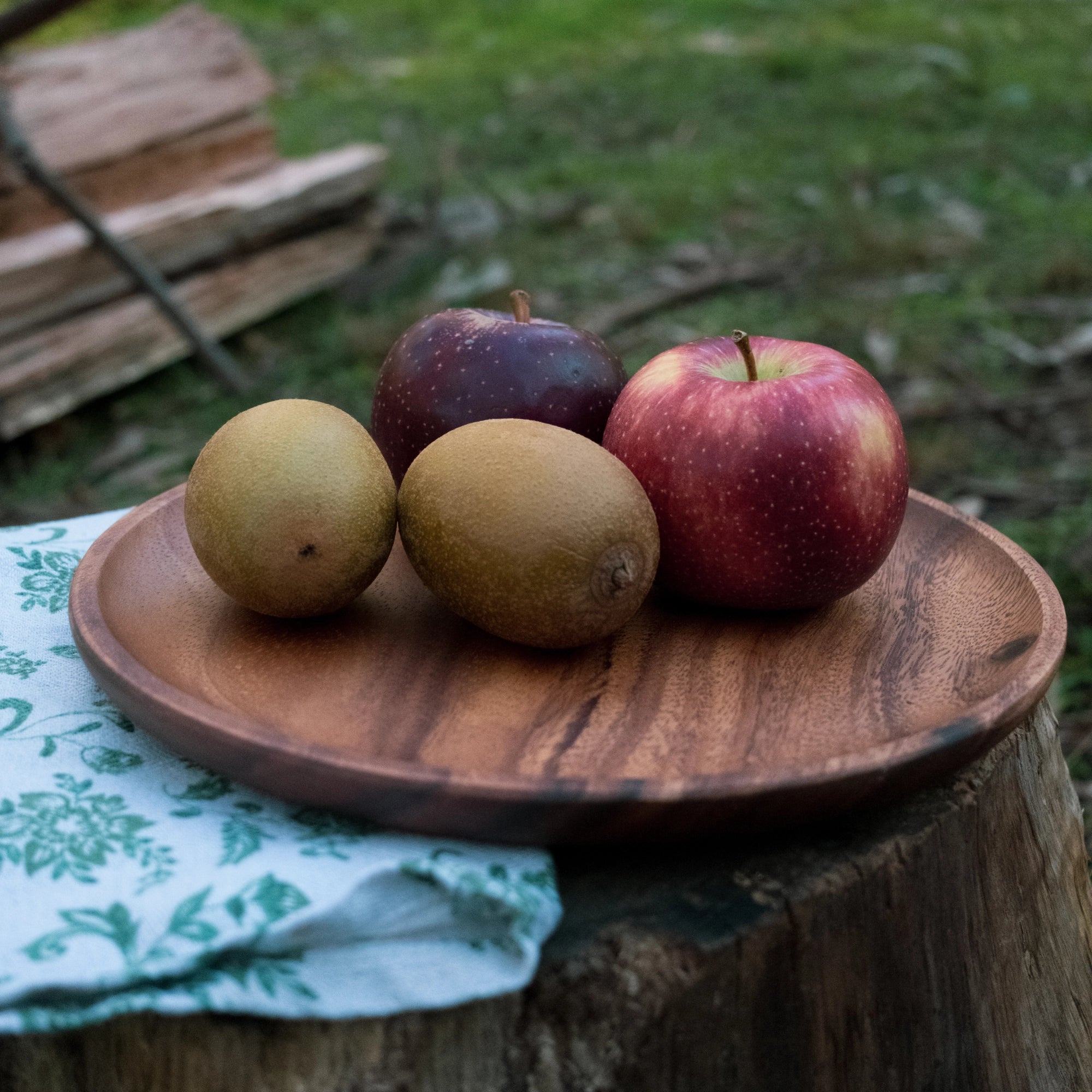 TriCamp Walnut Round Plate 25cm overview — sustainable wood dining plate for camp kitchen